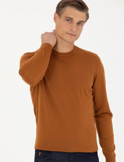 پلیور مردانه یقه گرد جذب دارچینی کاشارل