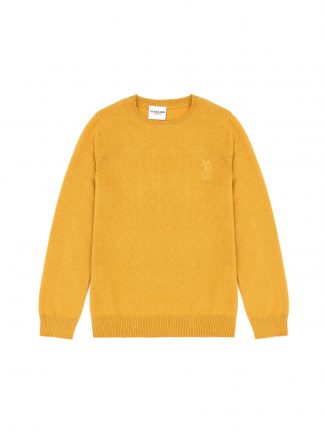پلیور پسرانه خردلی یو اس پولو