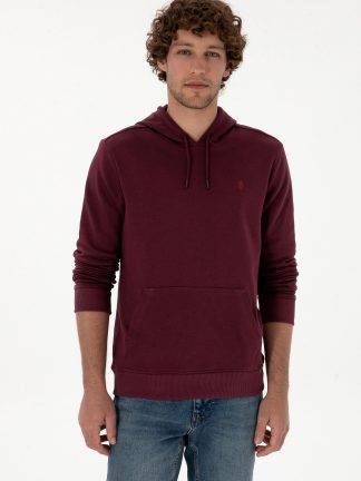 هودی مردانه آلو یو اس پولو