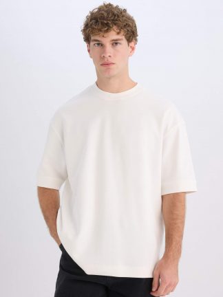 تی شرت مردانه بژ دفکتو