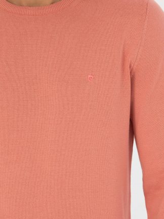 پلیور مردانه سالمون پیرکاردین