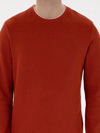 سویشرت مردانه قهوه ای پیرکاردین