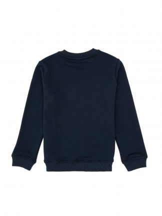 سویشرت پسرانه آبی لاجوردی روشن یو اس پولو