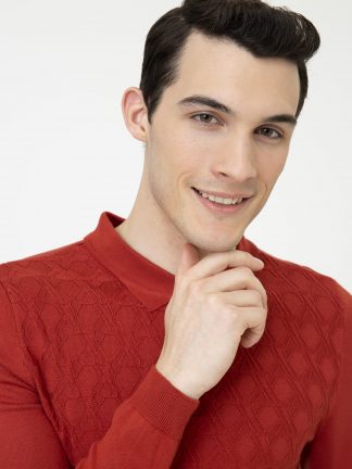 پلیور مردانه آجری پیرکاردین