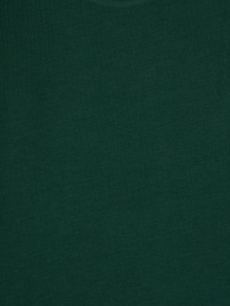 سویشرت پسرانه سبز تیره یو اس پولو