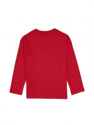 سویشرت پسرانه یو اس پولو