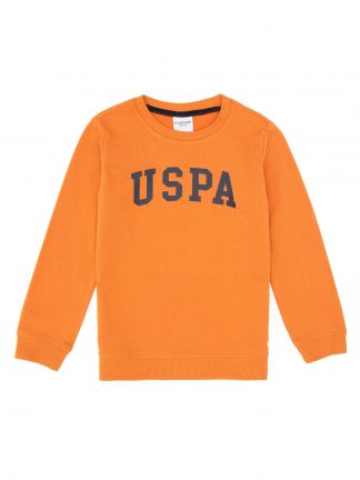 سویشرت پسرانه یو اس پولو