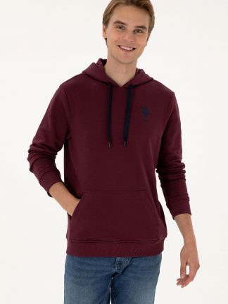 هودی مردانه آلو یو اس پولو