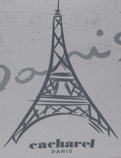 چمدان مسافرتی مردانه بژ کاشارل