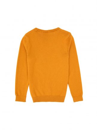 پلیور پسرانه خردلی یو اس پولو