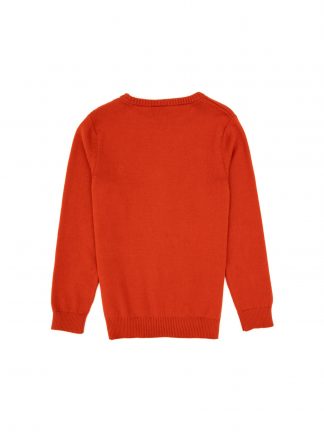 پلیور پسرانه آجری یو اس پولو