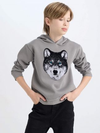 هودی پسرانه خاکستری دفکتو