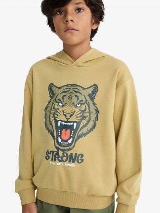 هودی پسرانه خاکی دفکتو