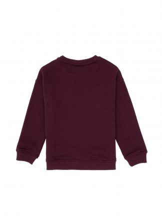 سویشرت پسرانه آلو یو اس پولو