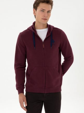 سویشرت مردانه آلو یو اس پولو