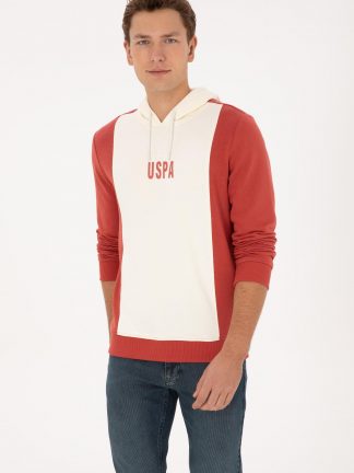 هودی مردانه گلبهی یو اس پولو