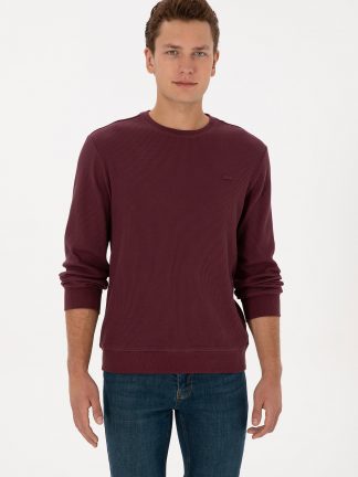 سویشرت مردانه آلو یو اس پولو