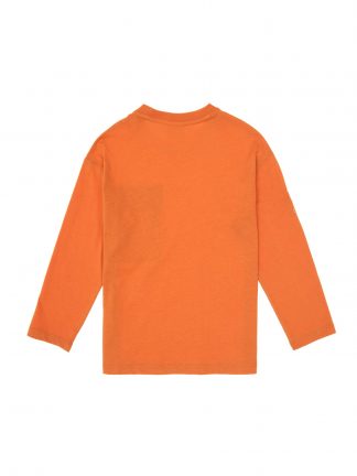 سویشرت پسرانه یو اس پولو