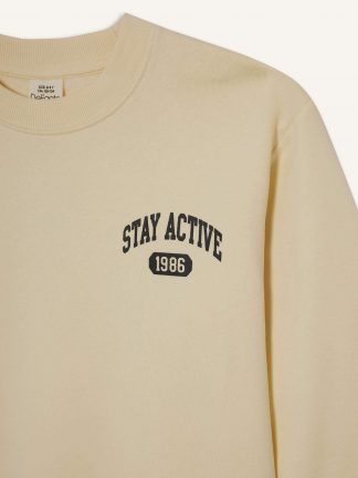 سویشرت پسرانه بژ دفکتو