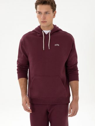 هودی مردانه آلو یو اس پولو