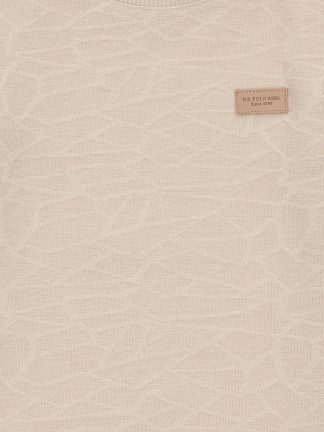 سویشرت پسرانه طوسی یو اس پولو